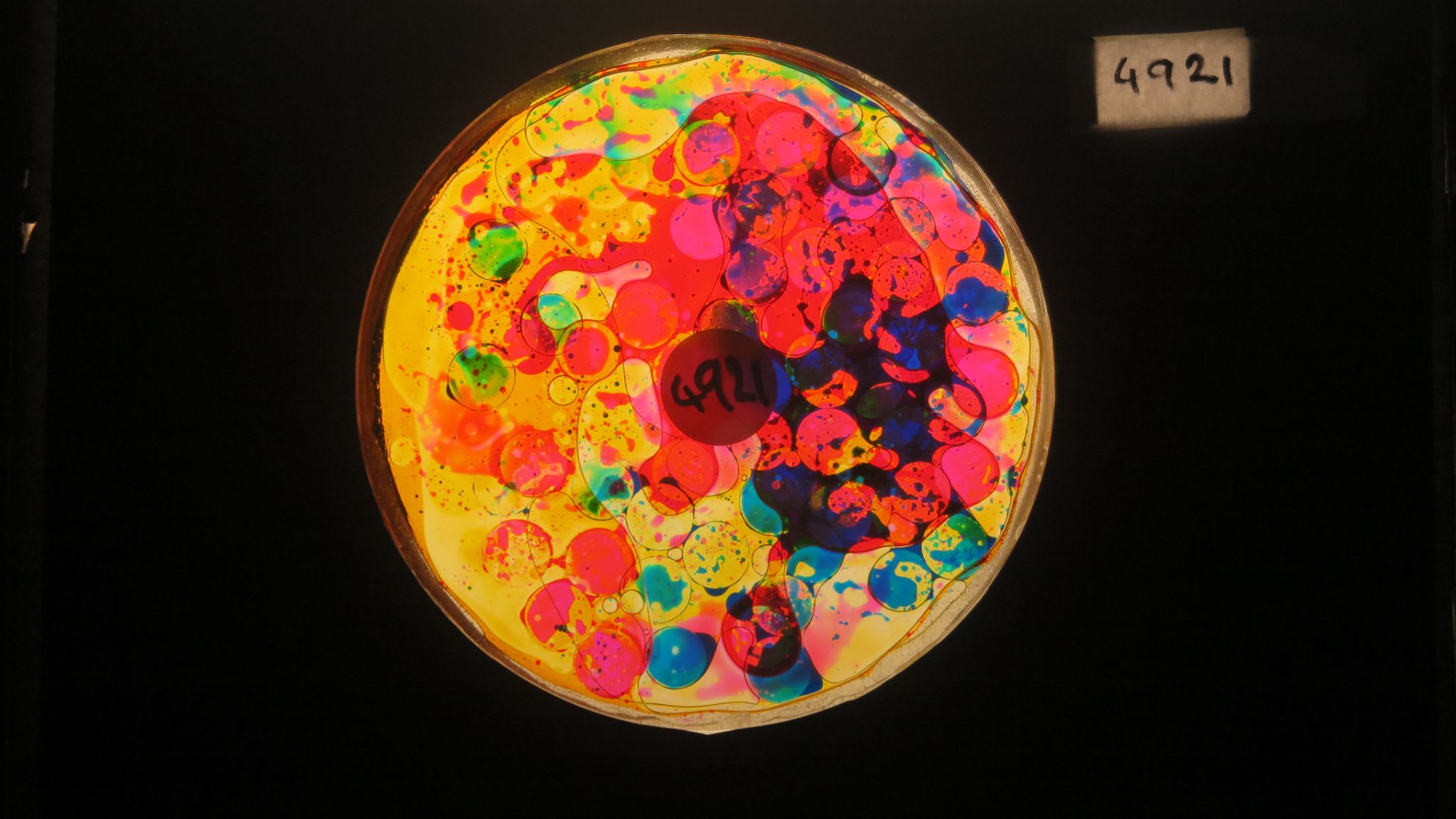 BV4921 bubble vision oil wheel